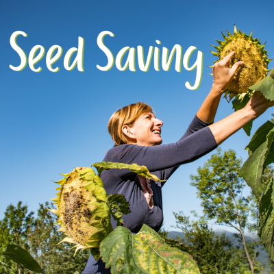 Seed Saving | Horticulture Class