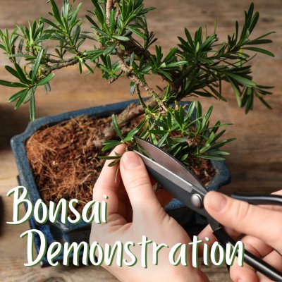 Bonsai Demonstration | Horticulture Class