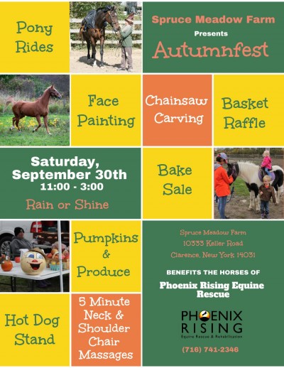 Autumnfest at the farm 2023