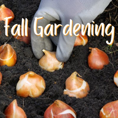 Fall Gardening | Gardening Class