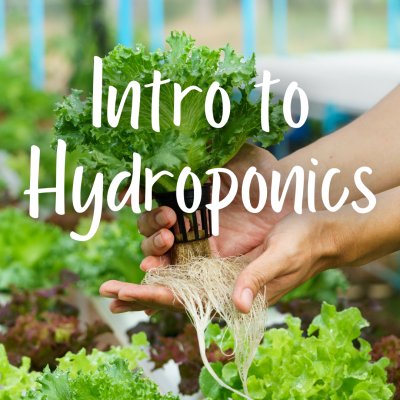 Intro to Hydroponics | Gardening Class