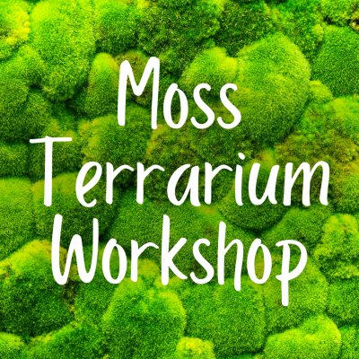 Moss Terrarium Workshop | Make-It, Take-It Workshop at Buffalo & Erie County Botanical Gardens — Oct 26, 2023