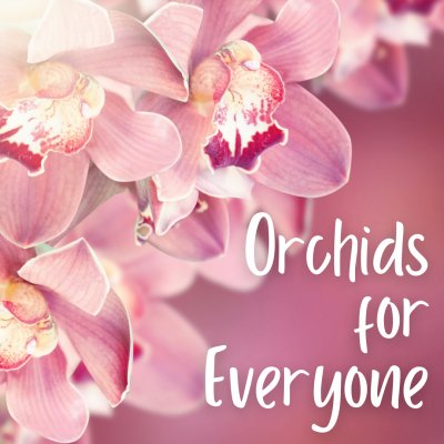 Orchids for Everyone | Gardening Class at Buffalo & Erie County Botanical Gardens — Nov 2, 2023