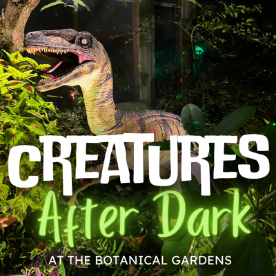Creatures After Dark