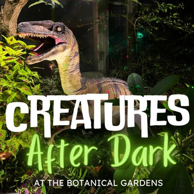Creatures After Dark