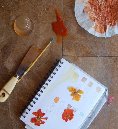 From Plants to Pigments Workshop at Western New York Book Arts — Oct 5, 2023