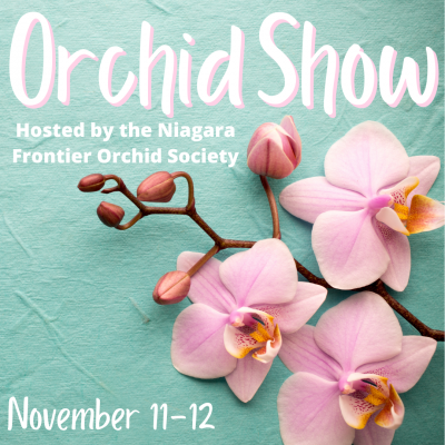 Orchid Show
