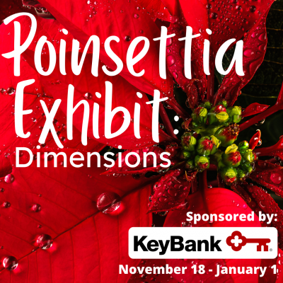 Poinsettia Exhibit: Dimensions