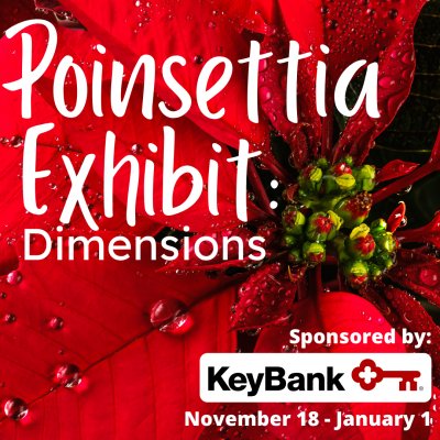 Poinsettia Exhibit: Dimensions