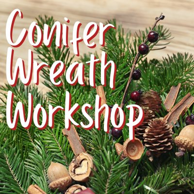 Conifer Wreath Workshop | Make-It, Take-It Workshop