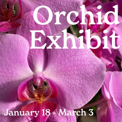 Orchid Exhibit | Buffalo and Erie County Botanical Gardens