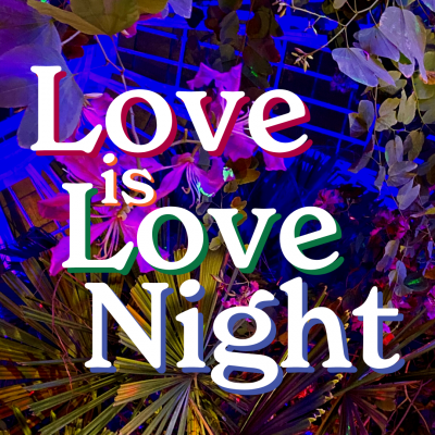 Love is Love Night