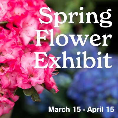 Spring Flower Exhibit