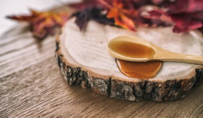 Intro to backyard Maple Sugaring at Buffalo Niagara Heritage Village — Mar 9, 2024