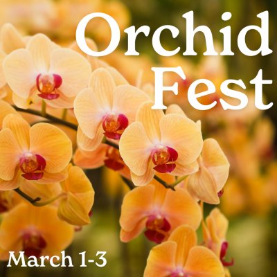 Orchid Fest