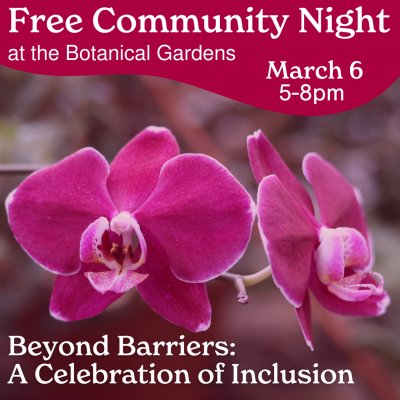 Free Community Night - Beyond Barriers: A Celebration of Inclusion