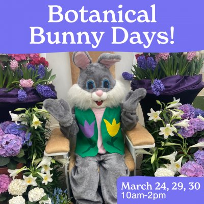 Botanical Bunny Days! at Buffalo & Erie County Botanical Gardens — Mar 24, 2024