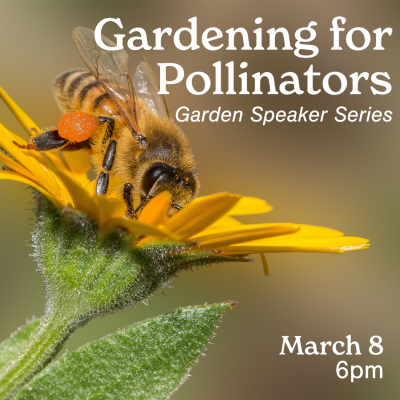 Garden Speaker Series - Gardening for Pollinators