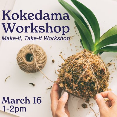 Kokedama Workshop at Buffalo & Erie County Botanical Gardens — Mar 16, 2024