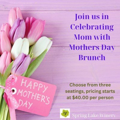Mother's Day Brunch at Spring Lake Winery — May 12, 2024