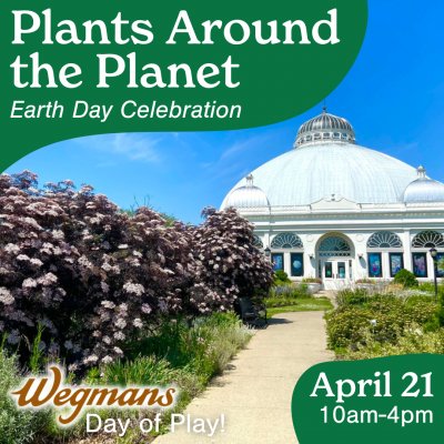 Plants Around the Planet at Buffalo & Erie County Botanical Gardens — Apr 21, 2024