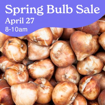 Spring Bulb Sale at Buffalo & Erie County Botanical Gardens — Apr 27, 2024