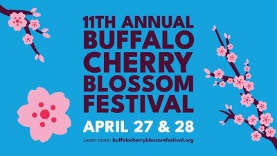 Buffalo Cherry Blossom Festival at The Buffalo History Museum — Apr 27, 2024