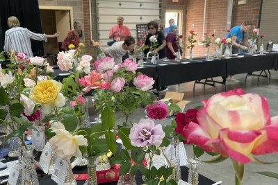 Rose Show