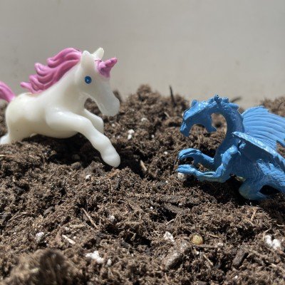 Mythical Terrarium Workshop at Buffalo & Erie County Botanical Gardens — Jul 20, 2024