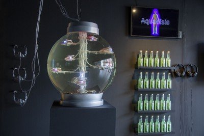 Stephanie Rothenberg, "Aquadisia"