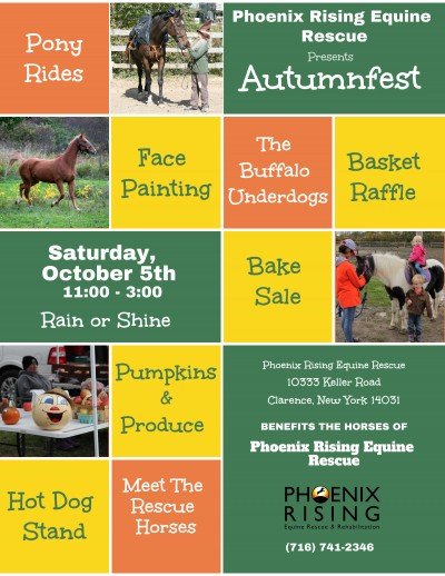Autumnfest at the farm 2024