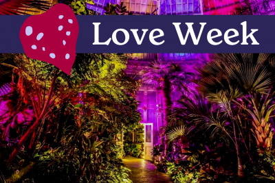 Love is Love Night