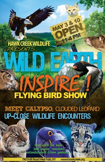 Wild Earth Day at Hawk Creek Wildlife