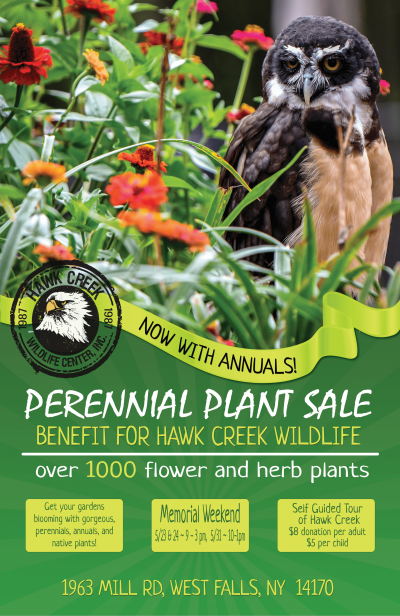 Fundraiser Plant Sale at Hawk Creek Wildlife
