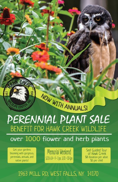 Fundraiser Plant Sale at Hawk Creek Wildlife
