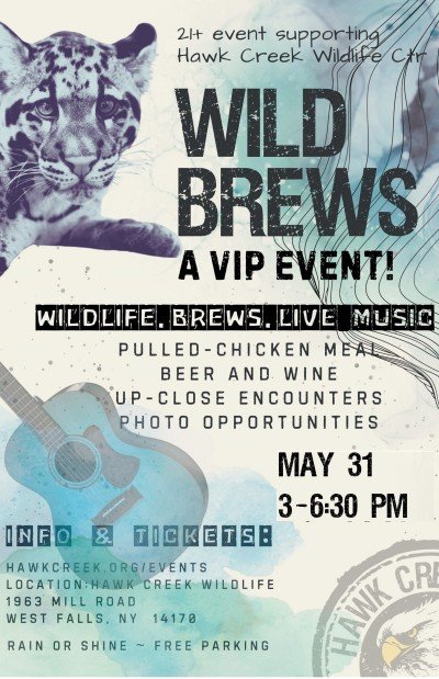 Wild Brews at Hawk Creek Wildlife