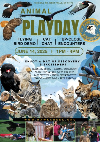 Animal Play Day at Hawk Creek Wildlife at Hawk Creek Wildlife Center — Jun 14, 2025