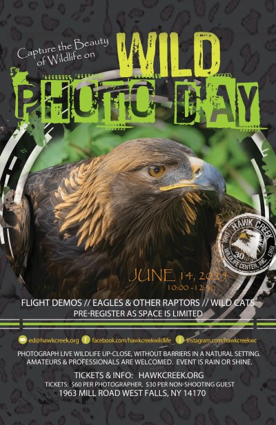 Wild Photo Day at Hawk Creek Wildlife at Hawk Creek Wildlife Center — Jun 14, 2025
