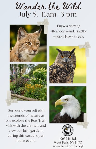 Wander the Wild at Hawk Creek Wildlife