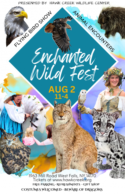 Enchanted Wild Fest at Hawk Creek Wildlife