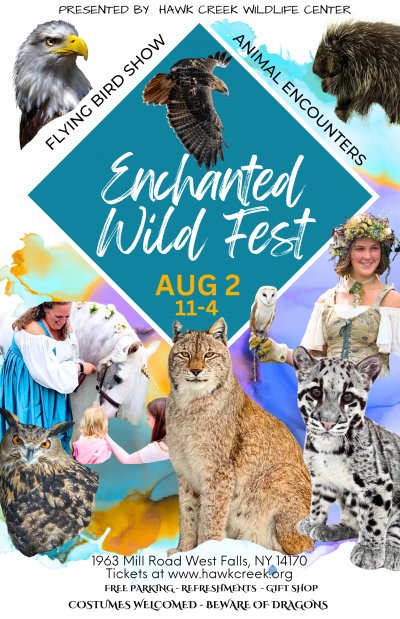 Enchanted Wild Fest at Hawk Creek Wildlife