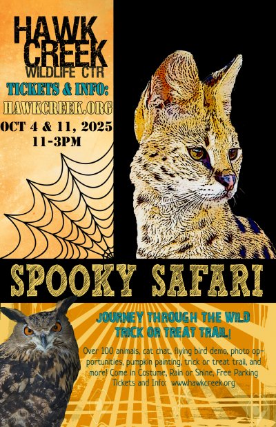 Spooky Safari at Hawk Creek Wildlife