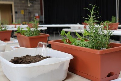 Herb Container Garden Workshop