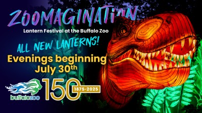 Zoomagination: Lantern Festival at the Buffalo Zoo