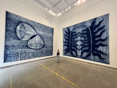 Davana Robedee,"Biformity"