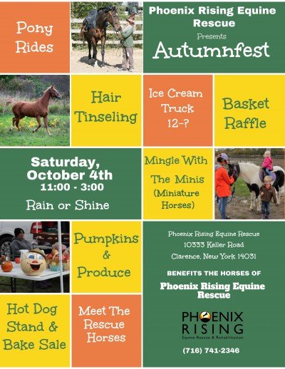 Autumnfest at the farm 2025