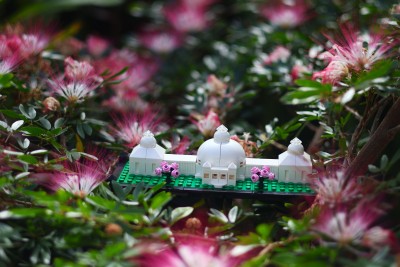 Bricks and Brews at the Botanical Gardens