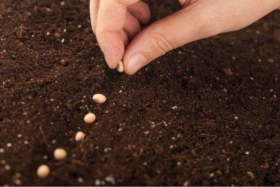 Seed Starting Class at the Botanical Gardens
