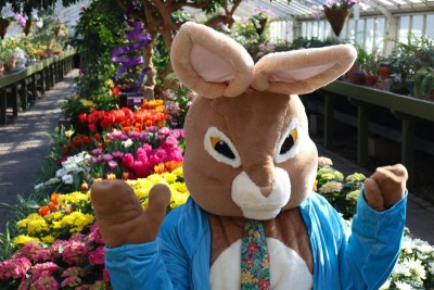 Botanical Bunny Days at the Botanical Gardens