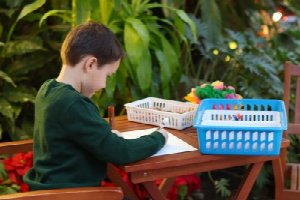 Inspiration Stations at the Botanical Gardens